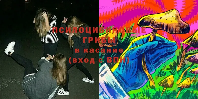 OMG ссылки  Катайск  Галлюциногенные грибы мицелий 